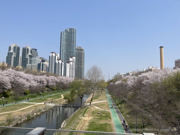 2024년 4월 7일 사진 4