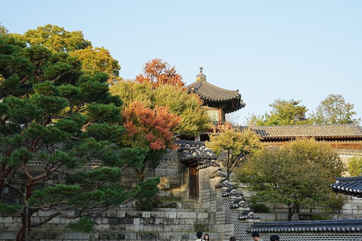 2024년 11월 2일 사진 4