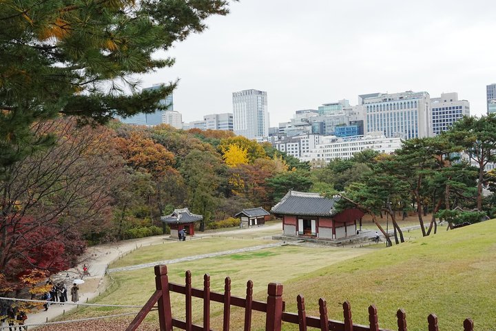 2024년 11월 16일 사진 1