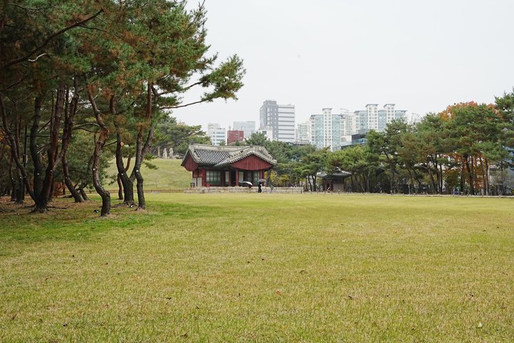 2024년 11월 16일 사진 8