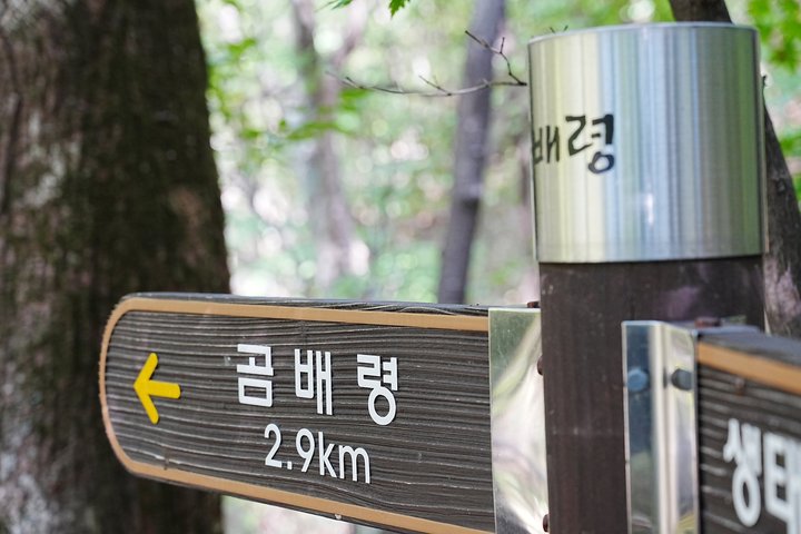 2026년 10월 4일 사진 7