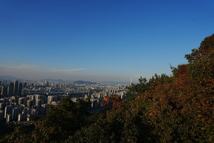 2026년 10월 10일 사진 7