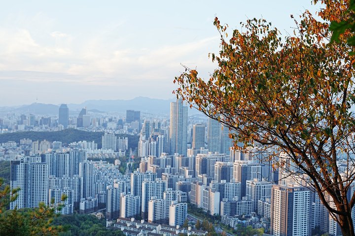 2026년 10월 10일 사진 12