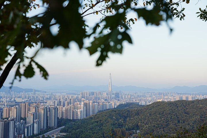 2026년 10월 10일 사진 13